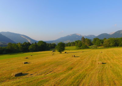 Ferme du chene, bauges, fromage, yaourts, le noyer, lait de vache, produits laitiers, fermiers
